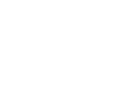 Pricing Icon