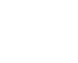 Features Icon