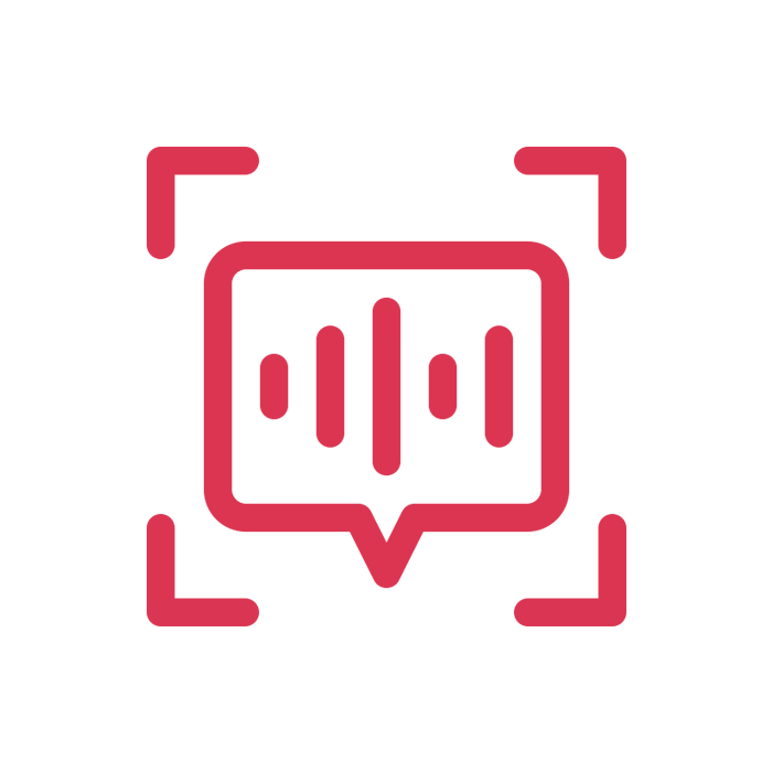 Voice Recognition (Optional)